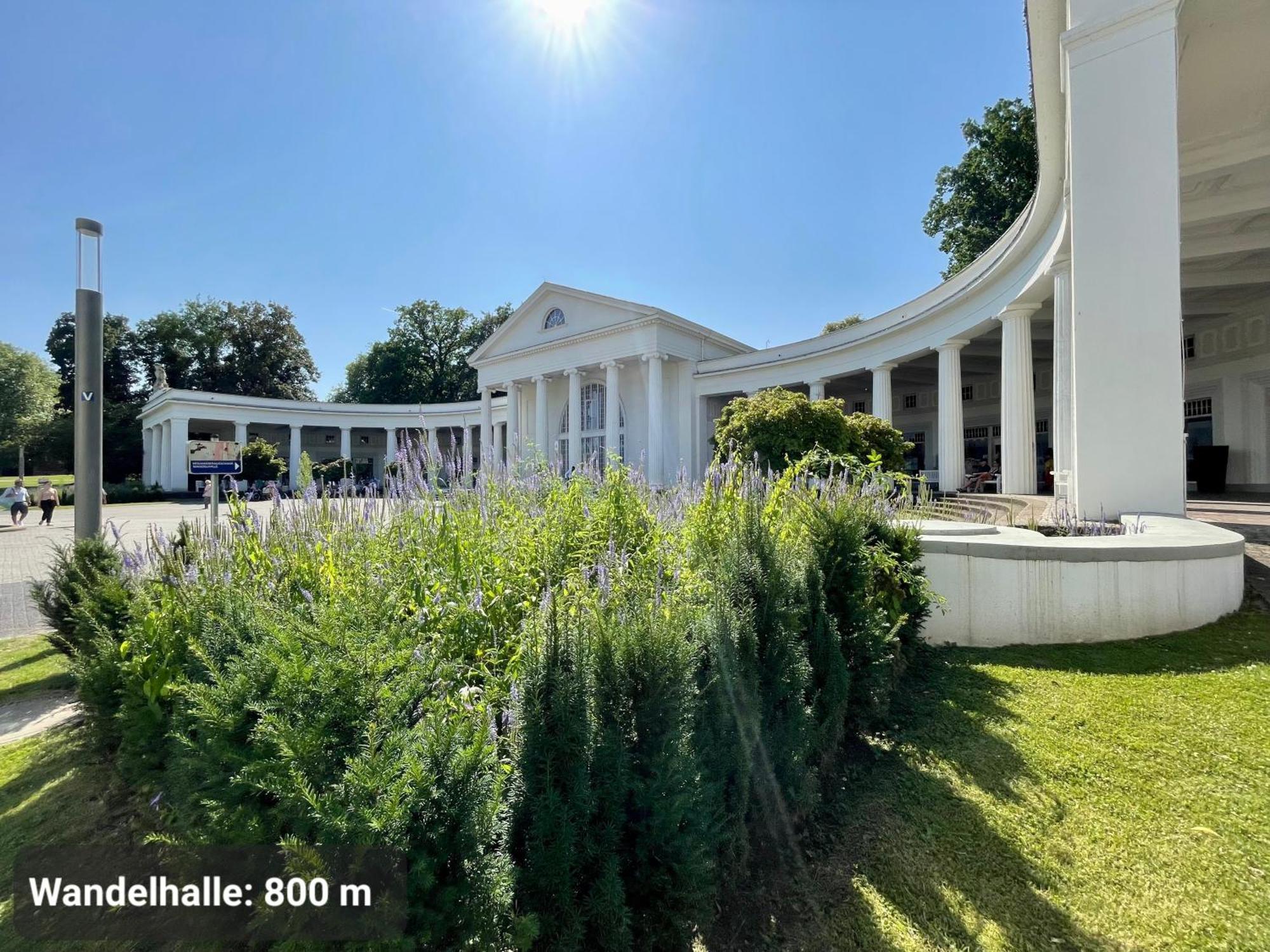 DELUXE APARTMENT 3 - zentral, Parkplatz, NETFLIX Bad Oeynhausen Buitenkant foto