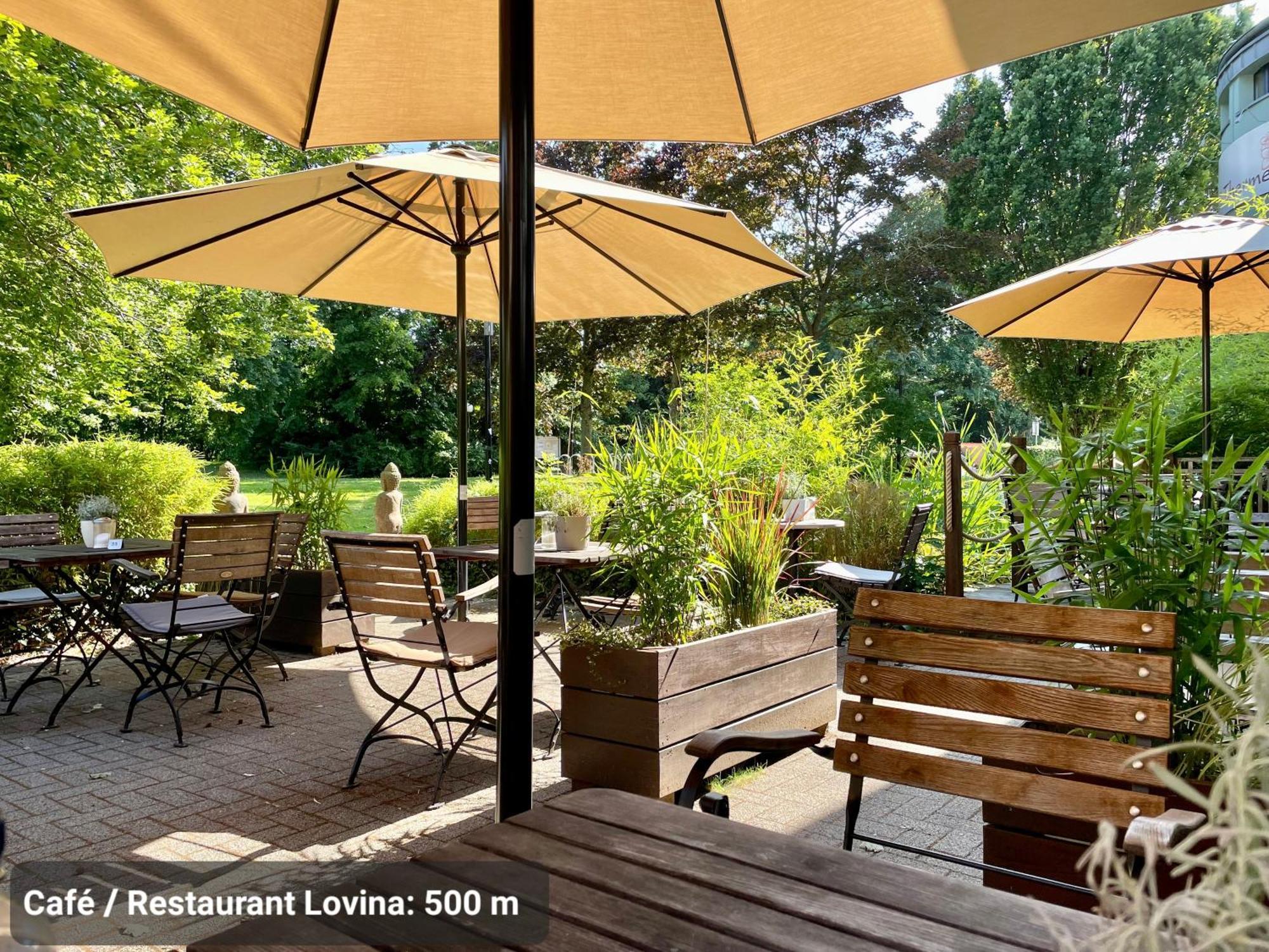 DELUXE APARTMENT 3 - zentral, Parkplatz, NETFLIX Bad Oeynhausen Buitenkant foto